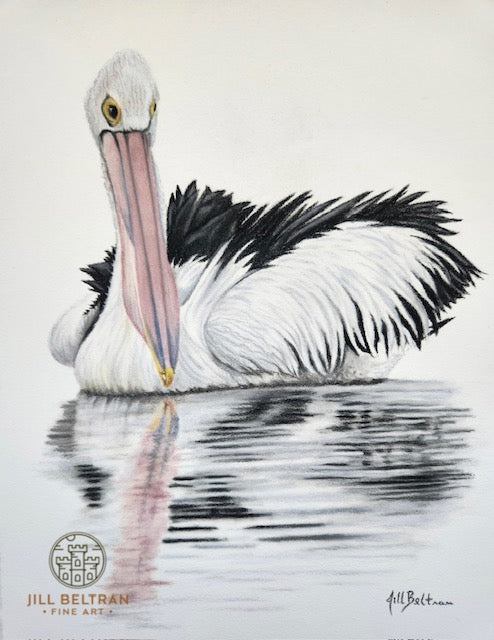 Australian Pelican Signed Original