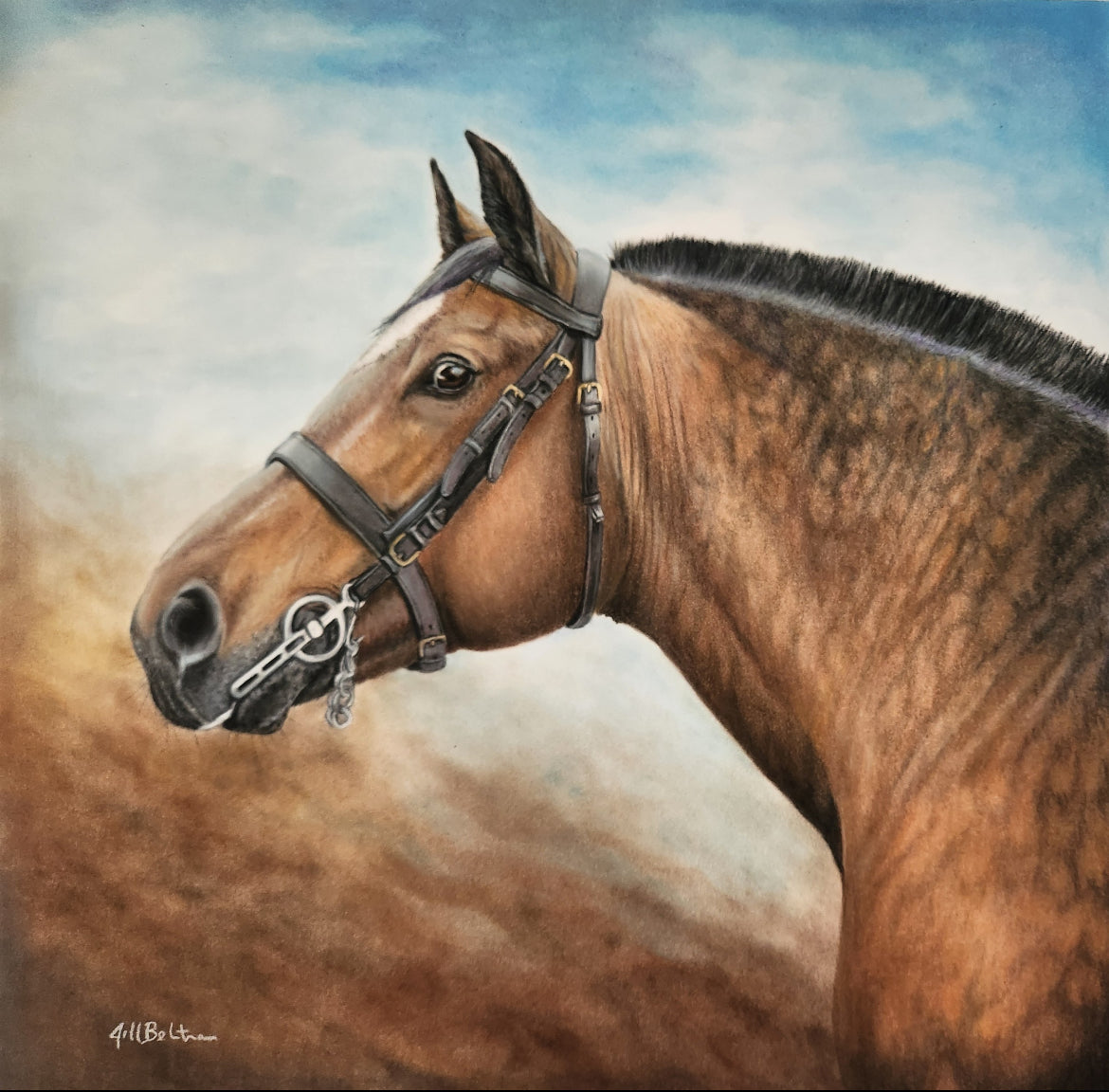 Majestic King Original