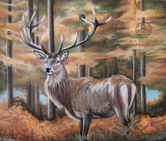 Scottish Stag Signed Original