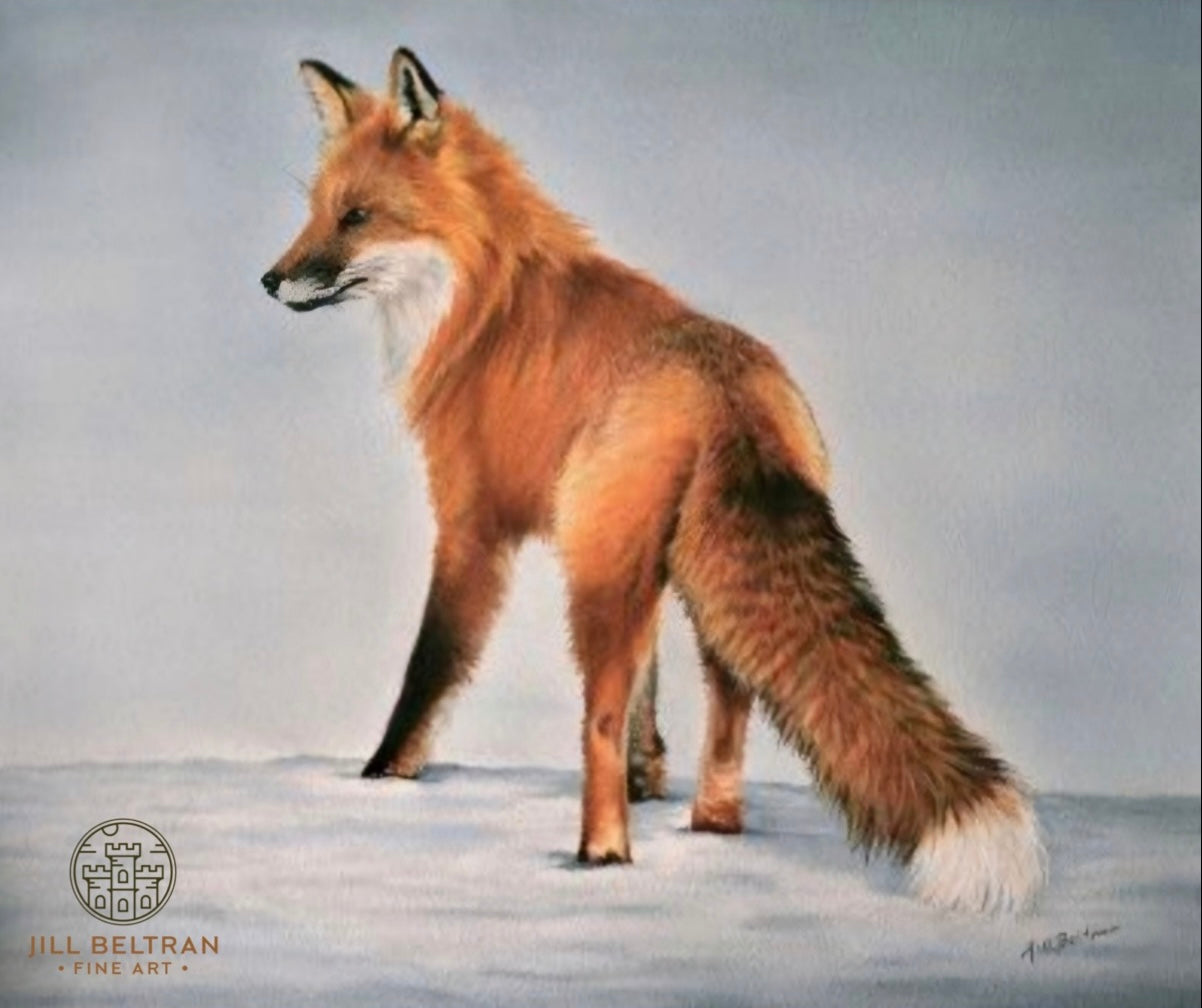 Mr. Fox Limited Edition Print