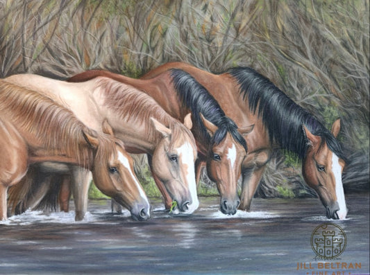 Salt River Horses Limited Edition Prints