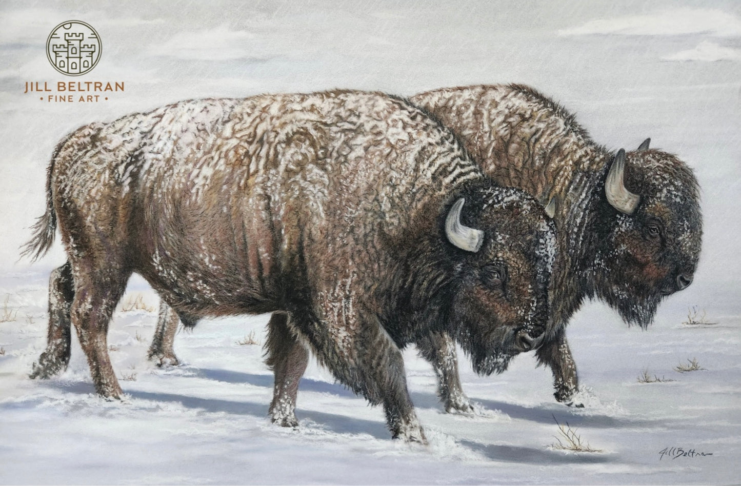 Winter Bison Signed Original