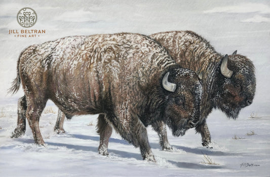 Winter Bison Signed Original